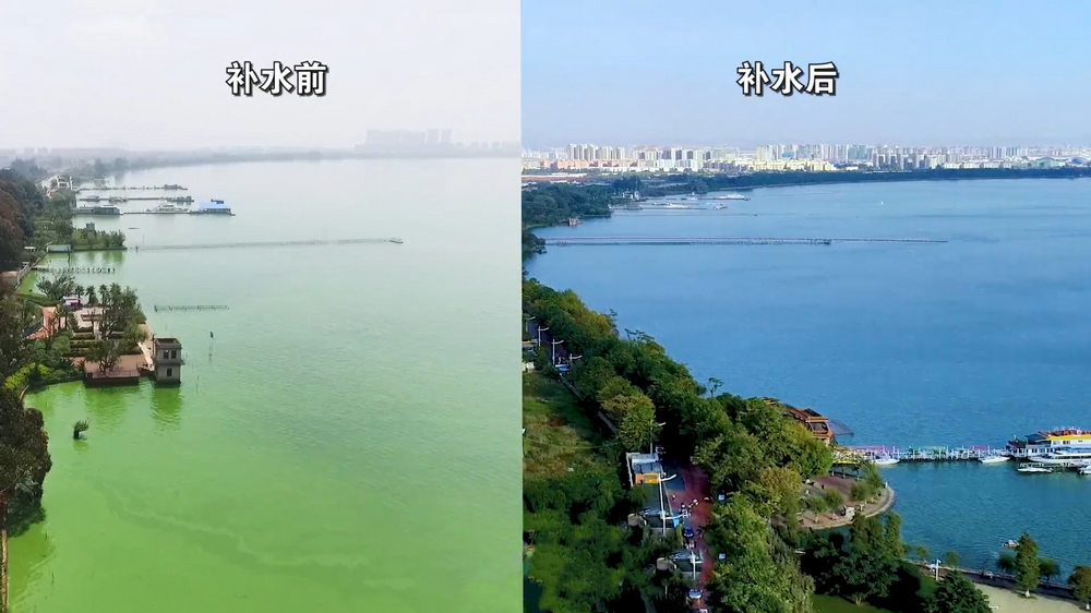 补水前后对比.jpg